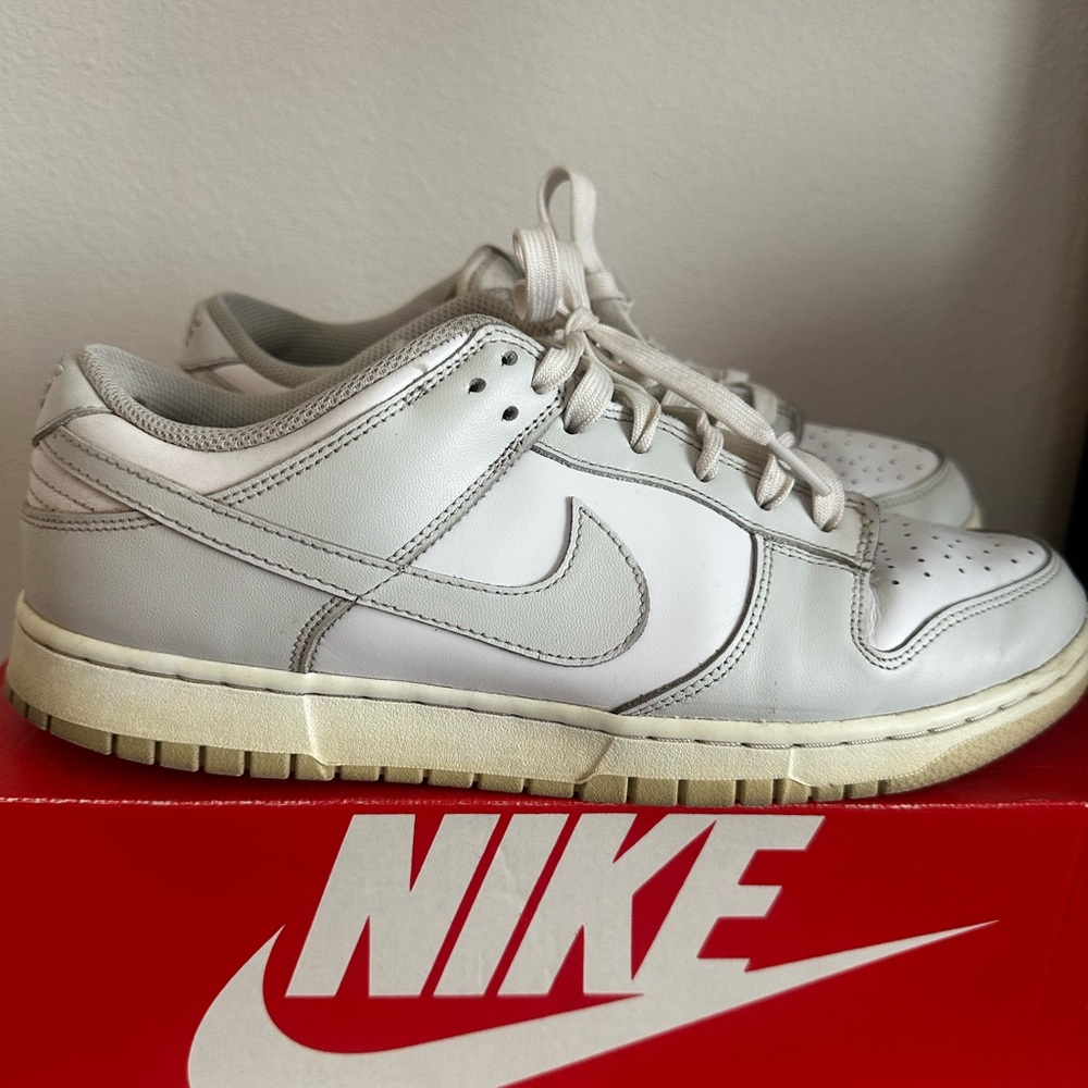 Nike dunk photon